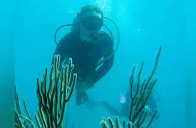 Xploration Awesome Planet: Evolving Earth