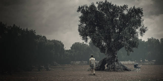 Lazos malditos (2020)