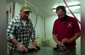 Bizarre Foods America: Austin