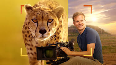 11:00 PM: Cheetahs Up Close: Bertie Gregory | Nat Geo Wild | 3/7 2026