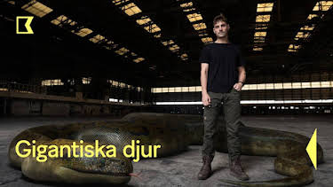 21:00: Gigantiska djur | Kunskapskanalen | 10/17 2026