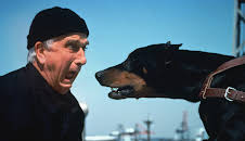 Die nackte Kanone 2 1/2