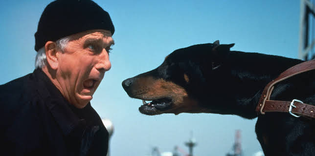 21:35: Die nackte Kanone 2 1/2 | ZDFneo | 12/30 2025