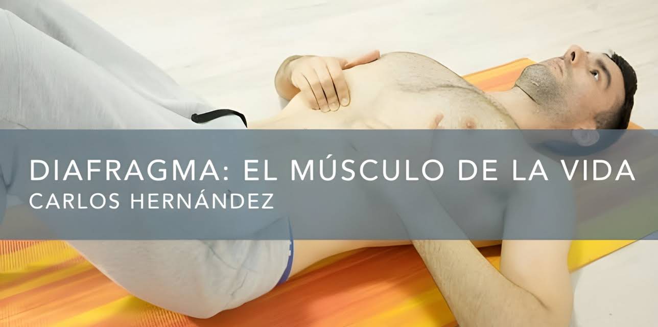 Diafragma: el músculo de la vida (2018)