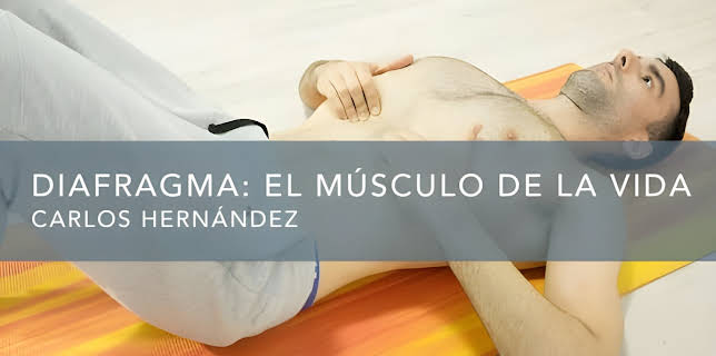Diafragma: el músculo de la vida (2018)