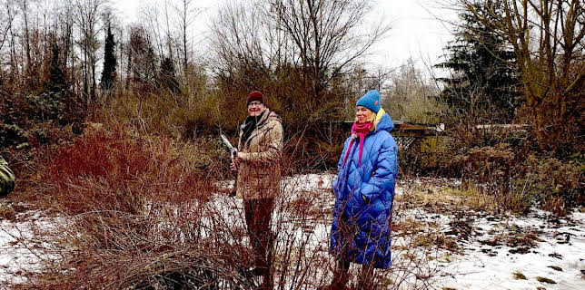 13:10: rbb Gartenzeit | RBB Fernsehen | 2/20 2026