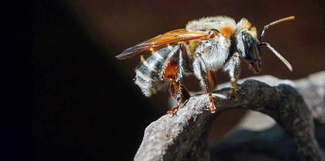 07:10: 360° Reportage | Arte | 12/27 2025