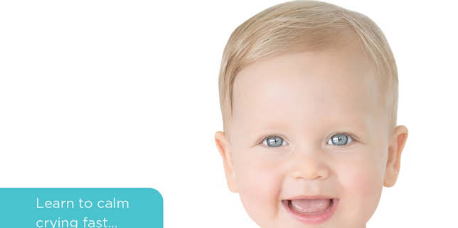 The Happiest Baby On the Block (2002)