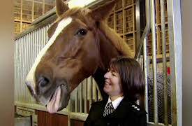 Mounted Branch: Night Patrol