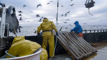 1:00 AM: Deadliest Catch (S20) | Discovery Channel | 10/10 2026