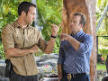 Hawaii Five-0