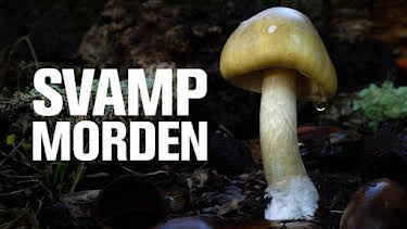22:00: Svampmorden | SVT1 | 3/9 2026