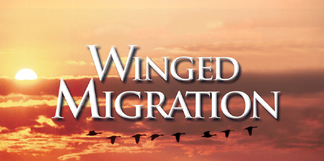 Winged Migration (2003)
