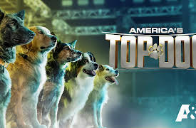 America's Top Dog Season 1: The Fast and the Furriest