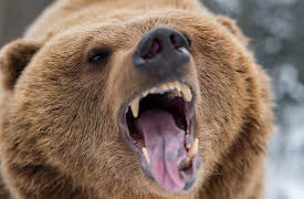 I Was Prey: Episode 6