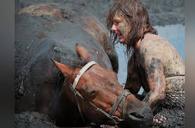 Caught in the Act, Season 1: Giraffe Attack