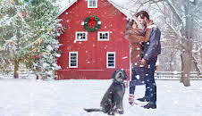 A Furry Little Christmas (1)