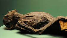 Verborgen im Eis: Geheimnisse aus der Vergangenheit