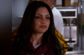 Happyland: Park Maintenance