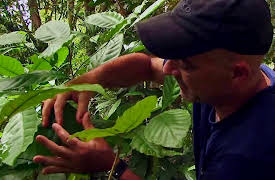 Dangerous Grounds Season 1: Borneo