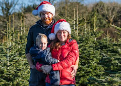 Devon and Cornwall at Christmas