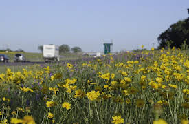 Killer Stories Season 1: Hannah