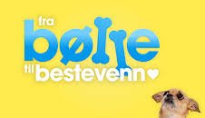 Fra bølle til bestevenn: Oppfør deg som en hund!