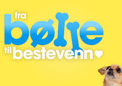 Fra bølle til bestevenn: Testen