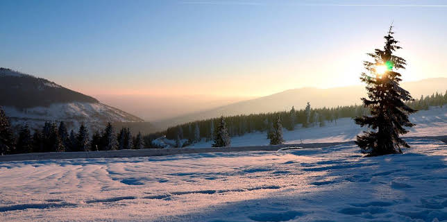03:35: Die Elbe - Vom Riesengebirge zur Sächsischen Schweiz | SWR Fernsehen BW | 11/17 2025