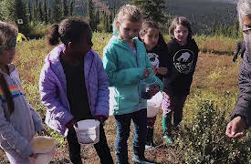 Awesome Alaskan Kids, Season 1: Blueberries