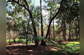 Shocking Emergency Calls: Episode 3