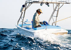 Cape Carnage: Killer Catch