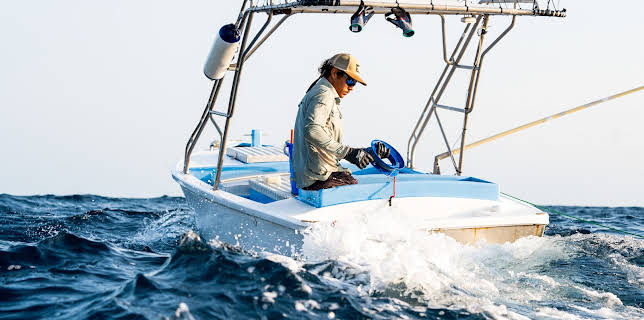 2:00 PM: Cape Carnage: Killer Catch (S1 E2) (S1) | Dave | 12/9 2025