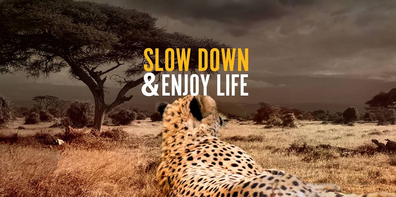 Slow Down And Enjoy Life (2020)