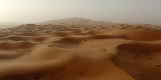 21:00: Wildes Marokko - Der goldene Süden | 3SAT | 1/26 2026