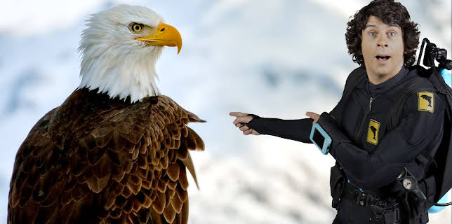 10:45: Andys ville vasseventyr: Andy og kvithovudhavørnene | NRK Super | 12/2 2025