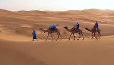 Afrika von oben: Wildnis