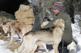 Edge of Alaska: The Thaw