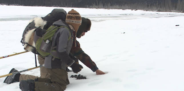 20:00: Edge of Alaska (S2 E2) (S2) | Animal Planet | 1/16 2026