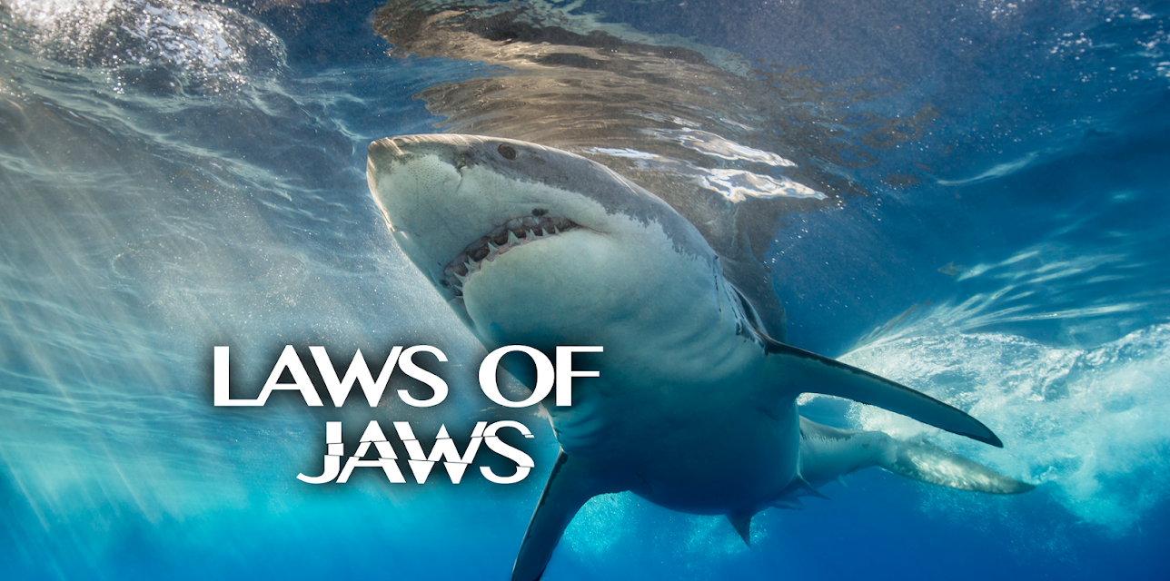 The Laws of Jaws (2018)