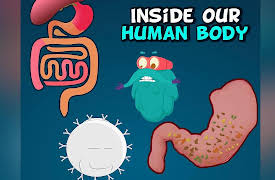 Learn With Dr. Binocs: Inside our Human Body