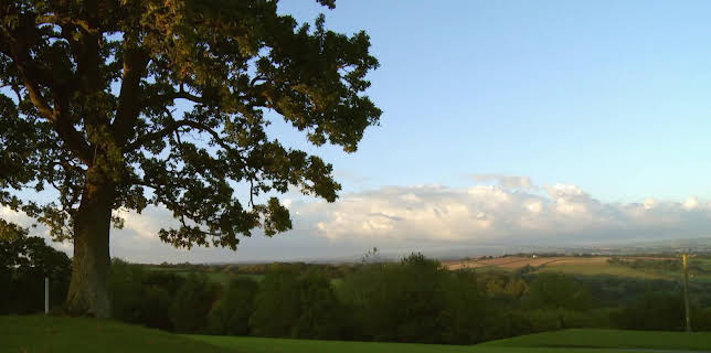 11:10: En plats på landet (S32 E47) (S32) | TV8 | 3/1 2026