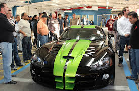 Dallas Car Sharks: Rolling the Dice