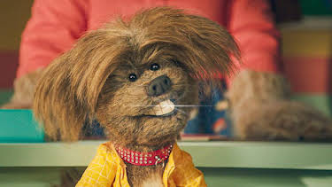 3:05 PM: Dodge's Pup School (S2) | Cbeebies | 7/29 2026