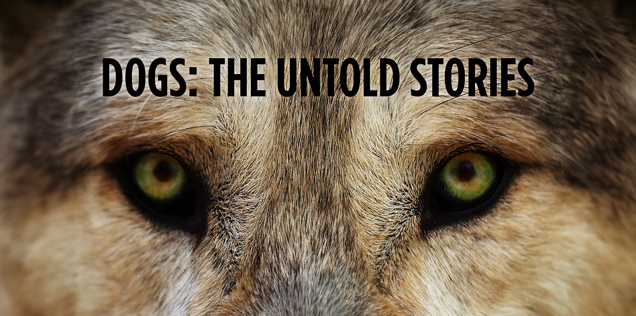 Dogs The Untold Story Season 1