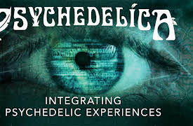 Psychedelica: Integrating Psychedelic Experiences