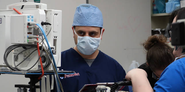 00:00: Life at Vet University (S1 E1) (S1) | Animal Planet | 12/13 2025