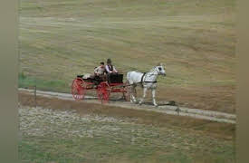 Huckleberry Finn and His Friends: Huck Sawyer - Tom Finn