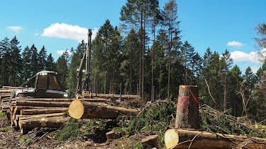 18:15: Die Nordreportage | NDR Fernsehen | 4/23 2026