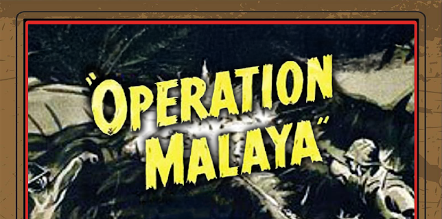 Operation  Malaysia (2026)